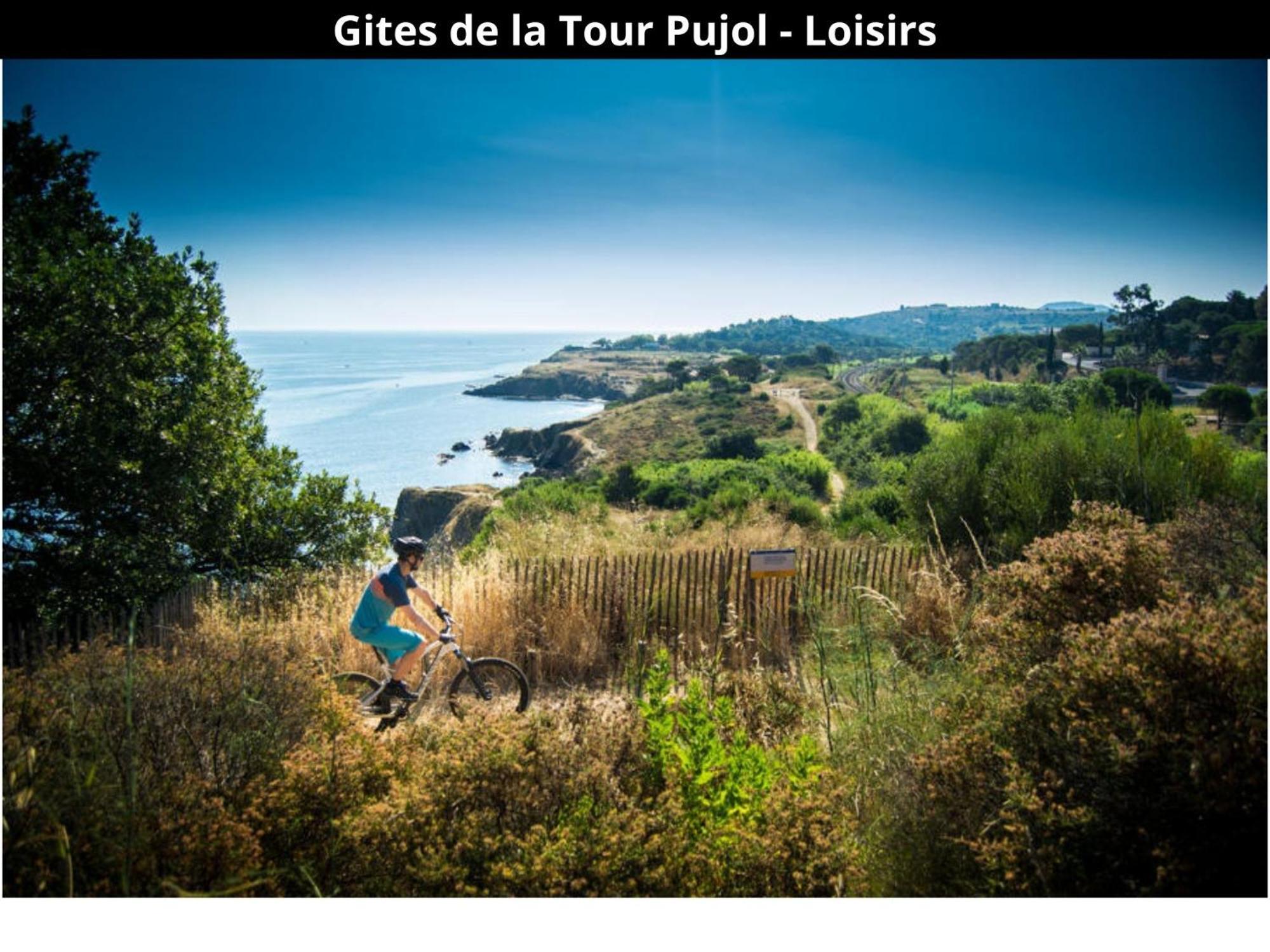 Les Gites De La Tour Pujol أرجيليه- سور- مير المظهر الخارجي الصورة