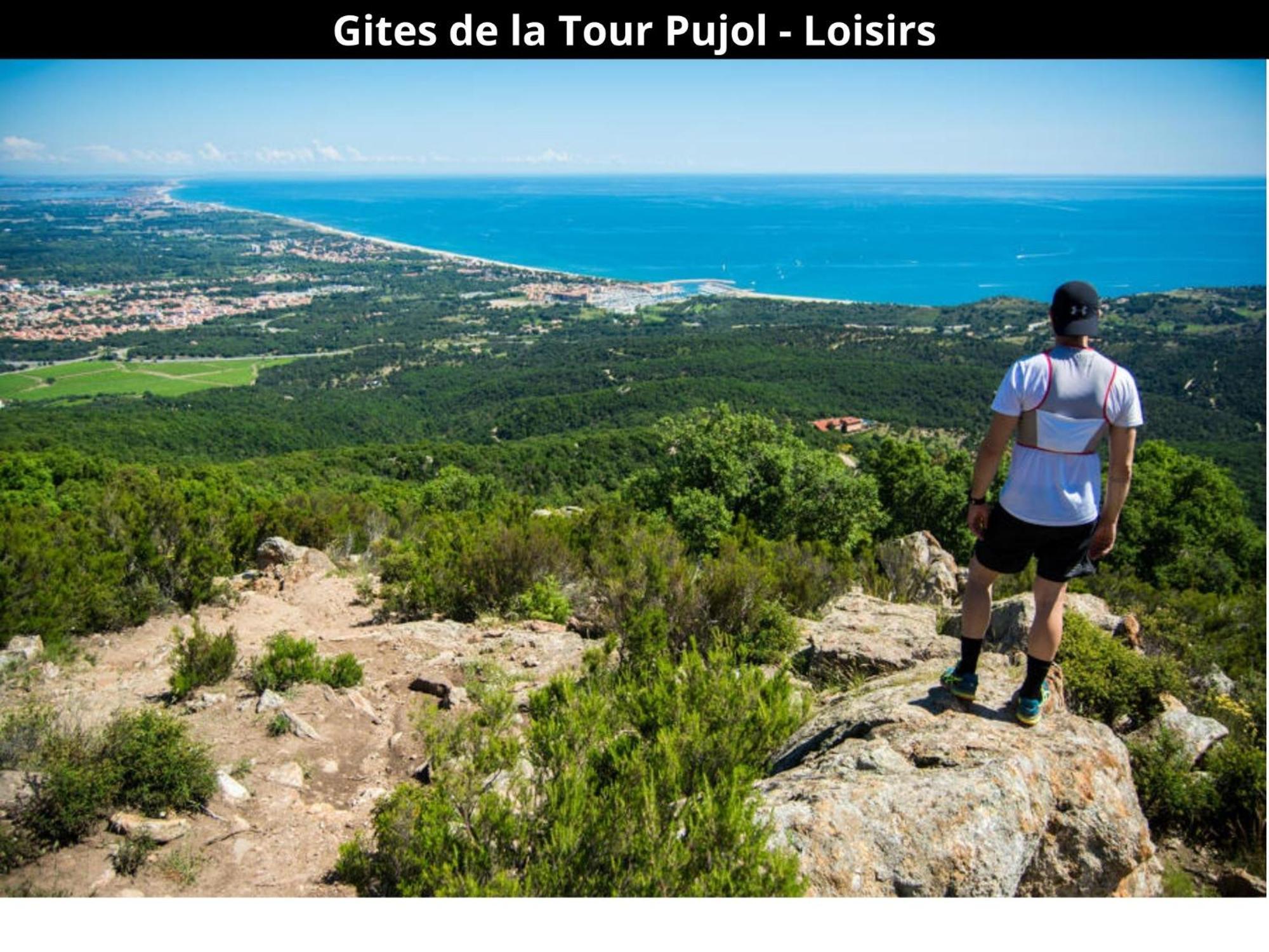 Les Gites De La Tour Pujol أرجيليه- سور- مير المظهر الخارجي الصورة