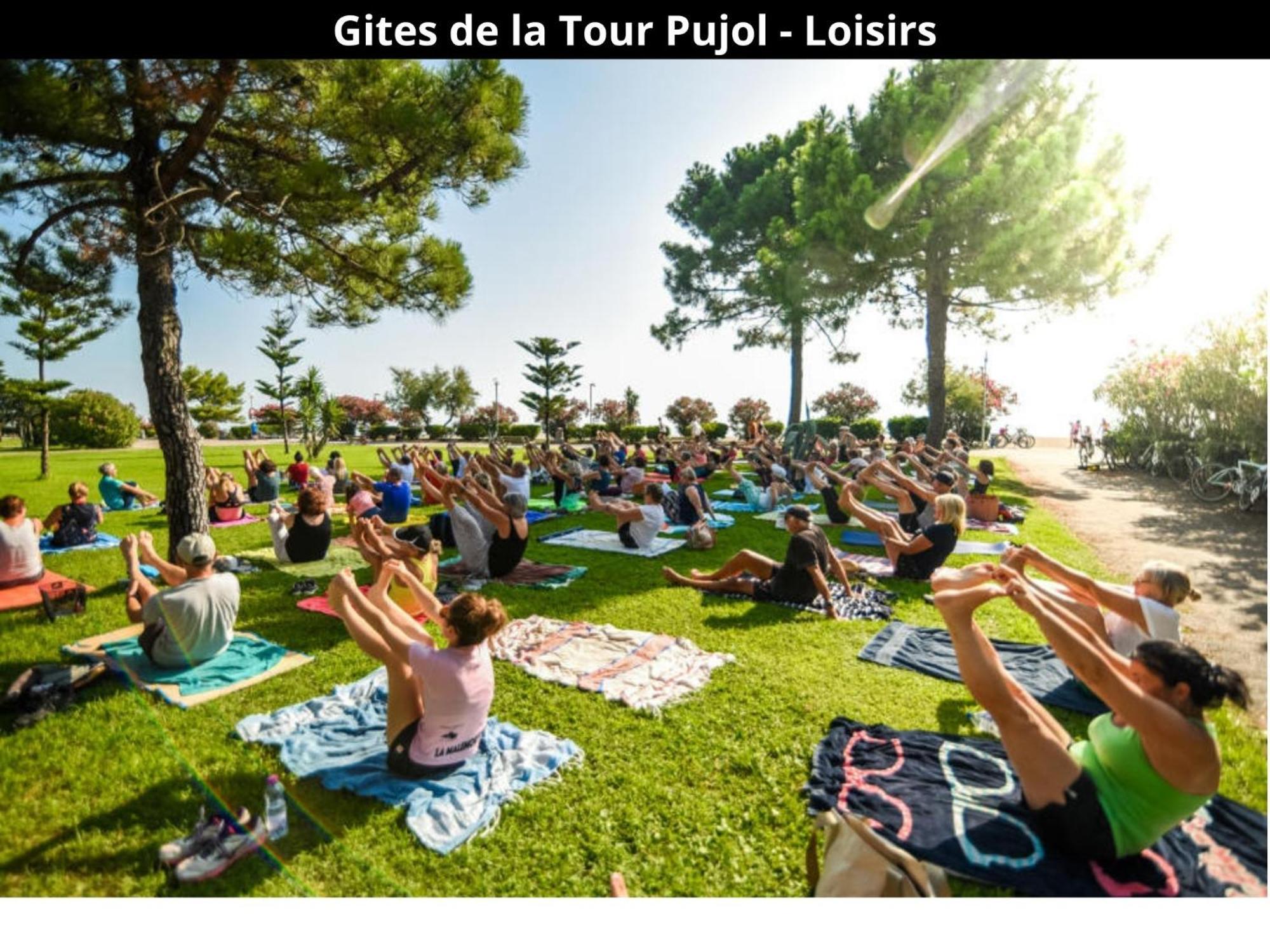 Les Gites De La Tour Pujol أرجيليه- سور- مير المظهر الخارجي الصورة