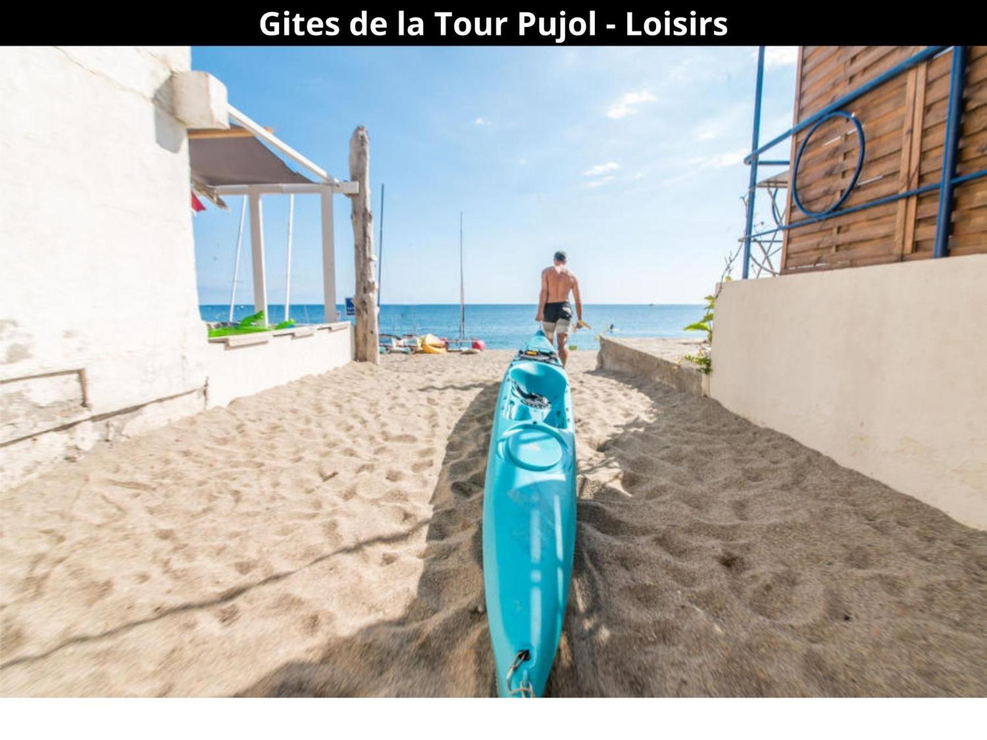 Les Gites De La Tour Pujol أرجيليه- سور- مير المظهر الخارجي الصورة