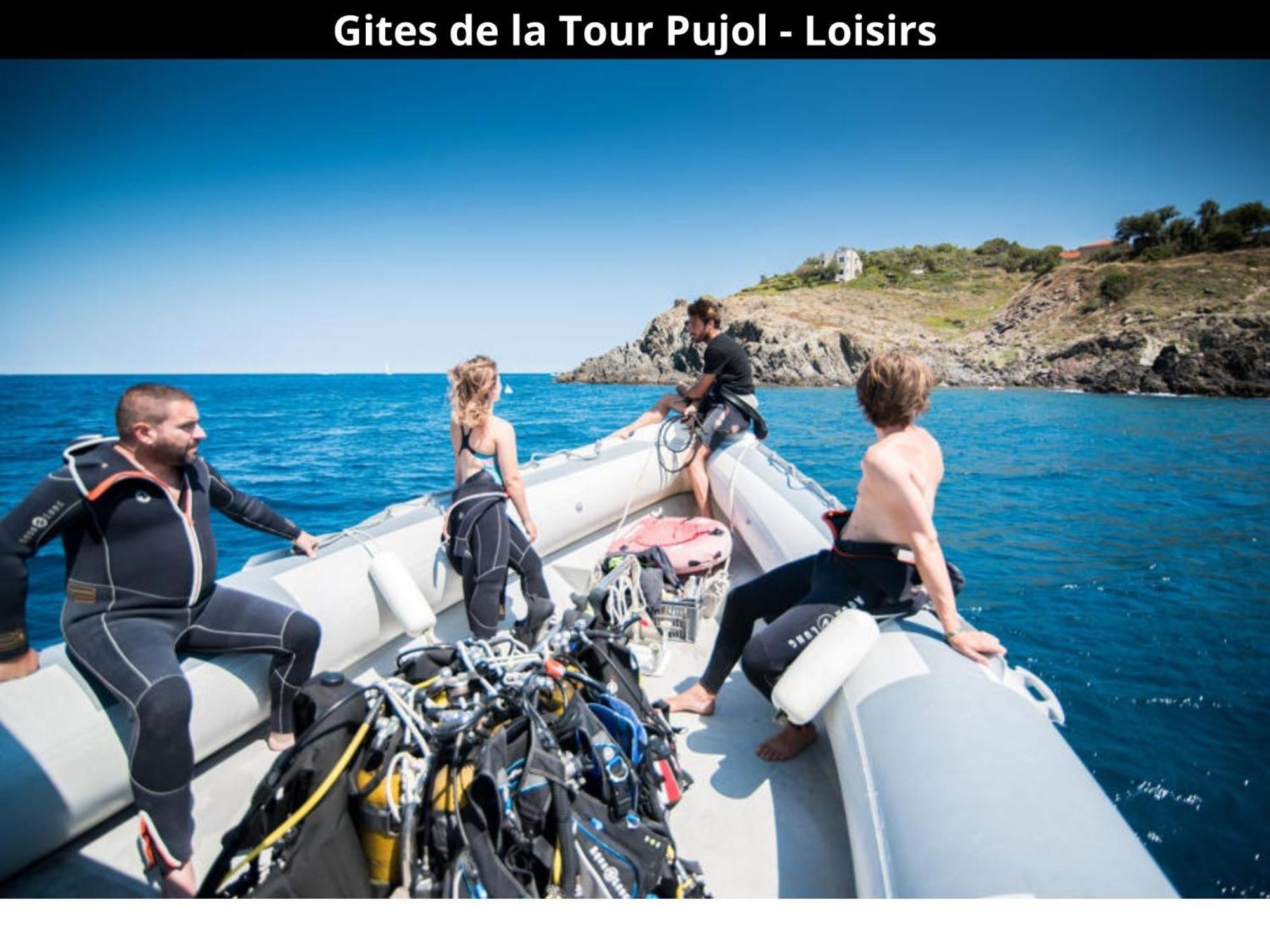 Les Gites De La Tour Pujol أرجيليه- سور- مير المظهر الخارجي الصورة