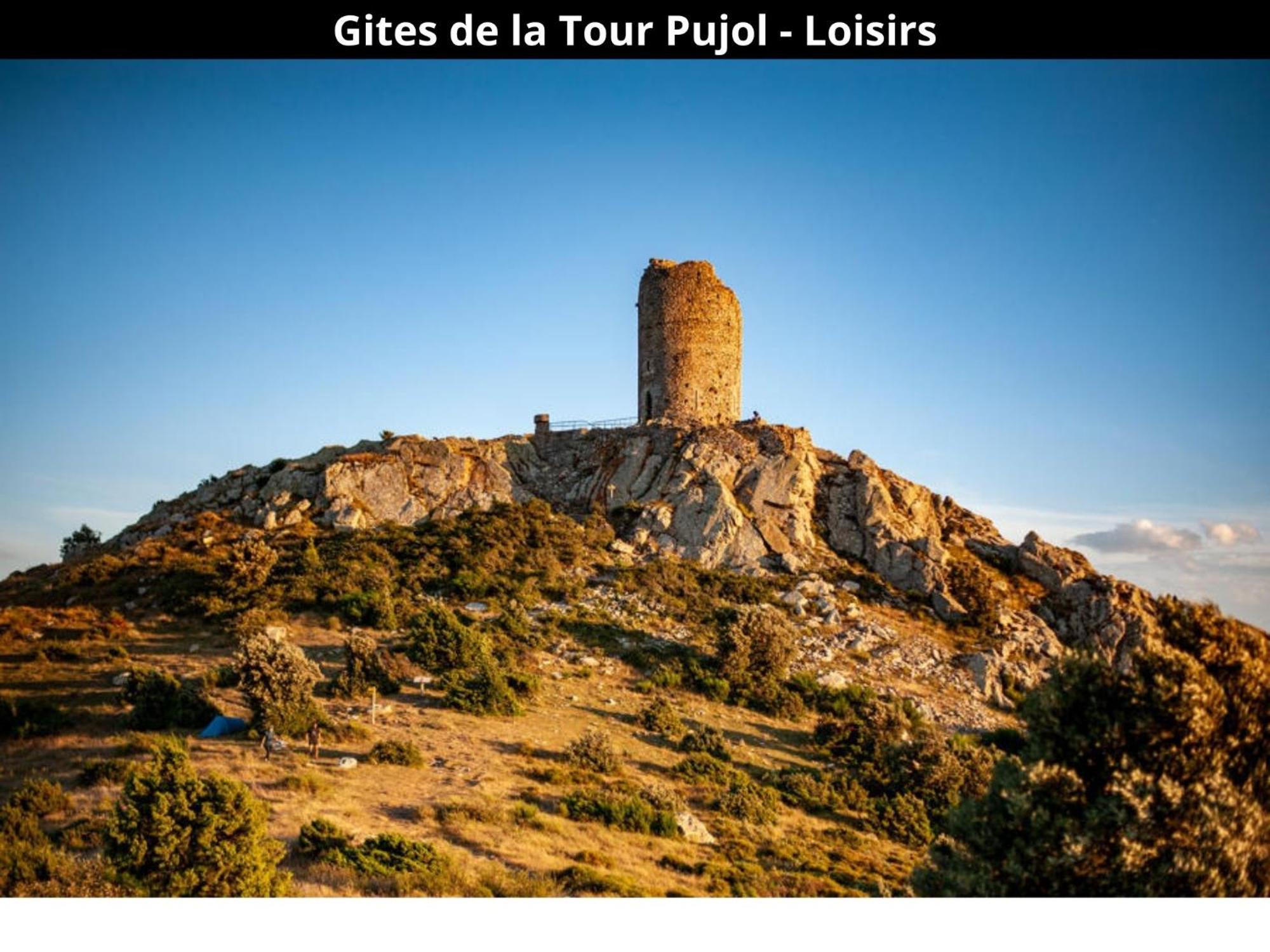 Les Gites De La Tour Pujol أرجيليه- سور- مير المظهر الخارجي الصورة