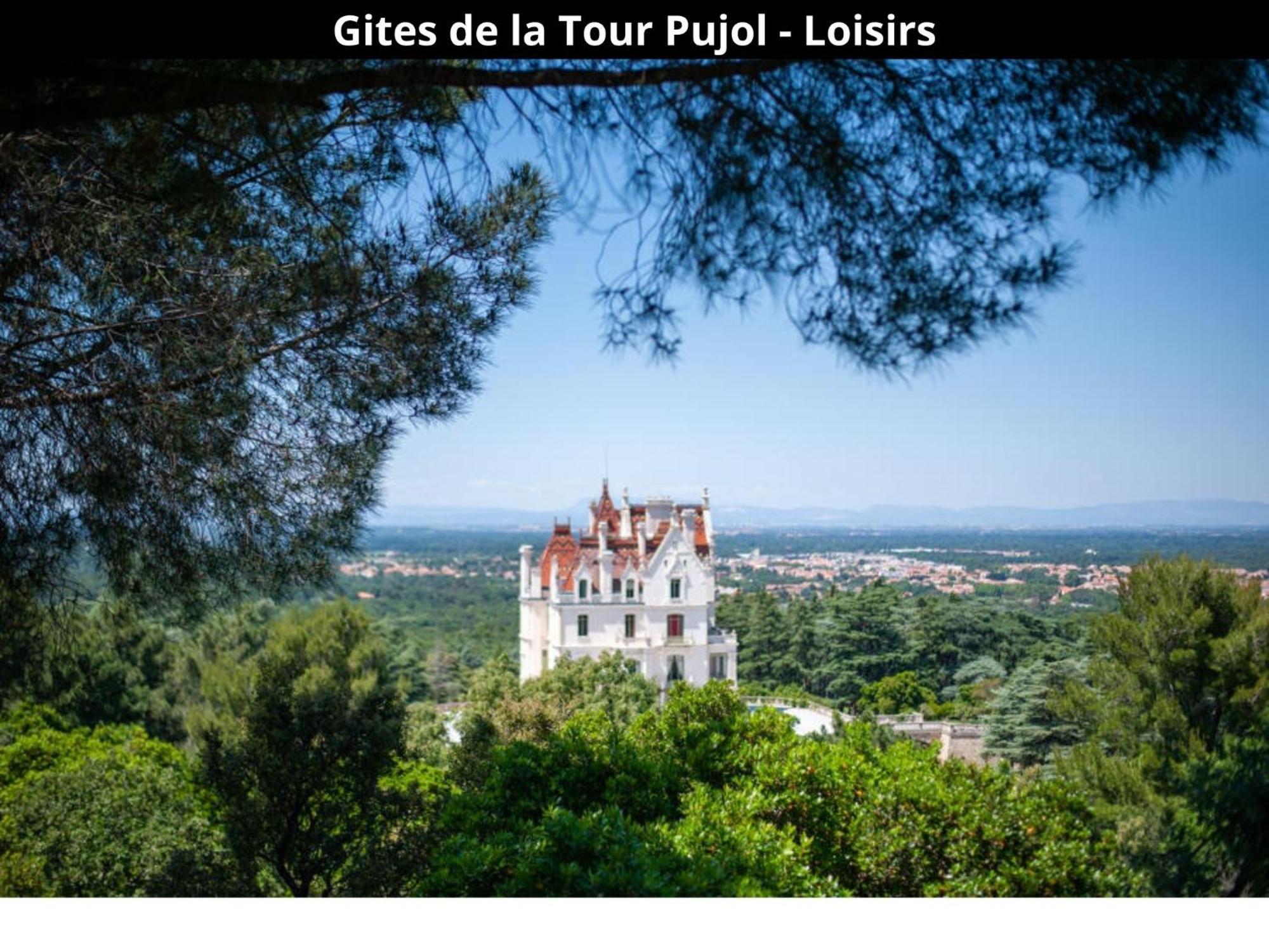 Les Gites De La Tour Pujol أرجيليه- سور- مير المظهر الخارجي الصورة