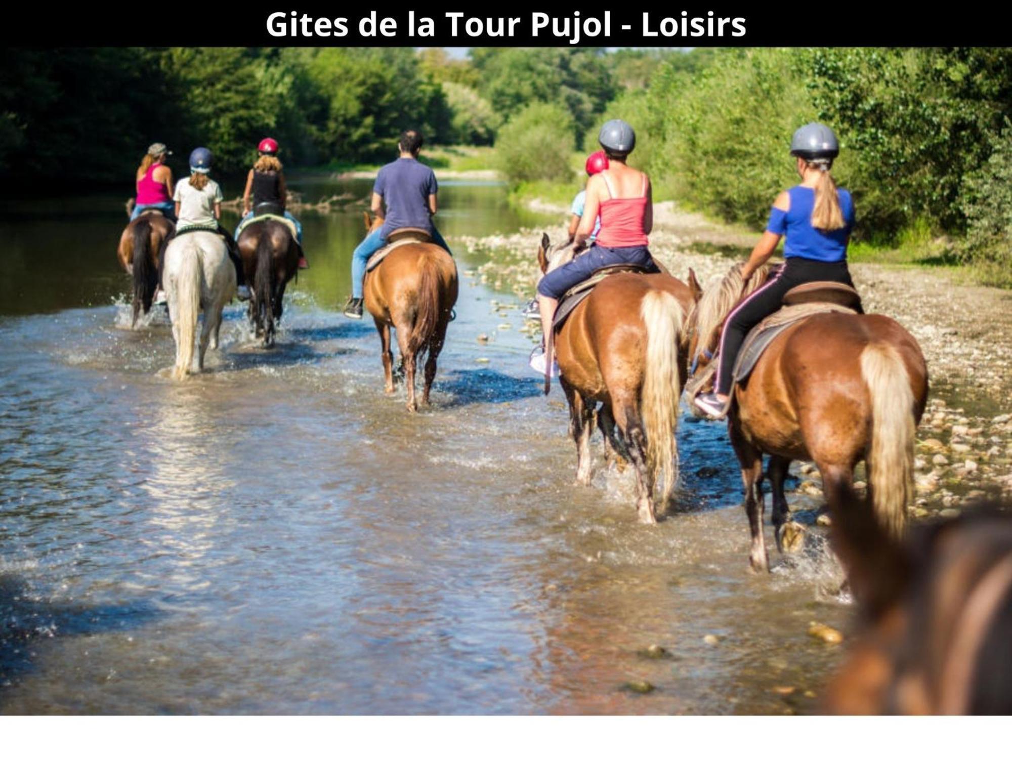 Les Gites De La Tour Pujol أرجيليه- سور- مير المظهر الخارجي الصورة