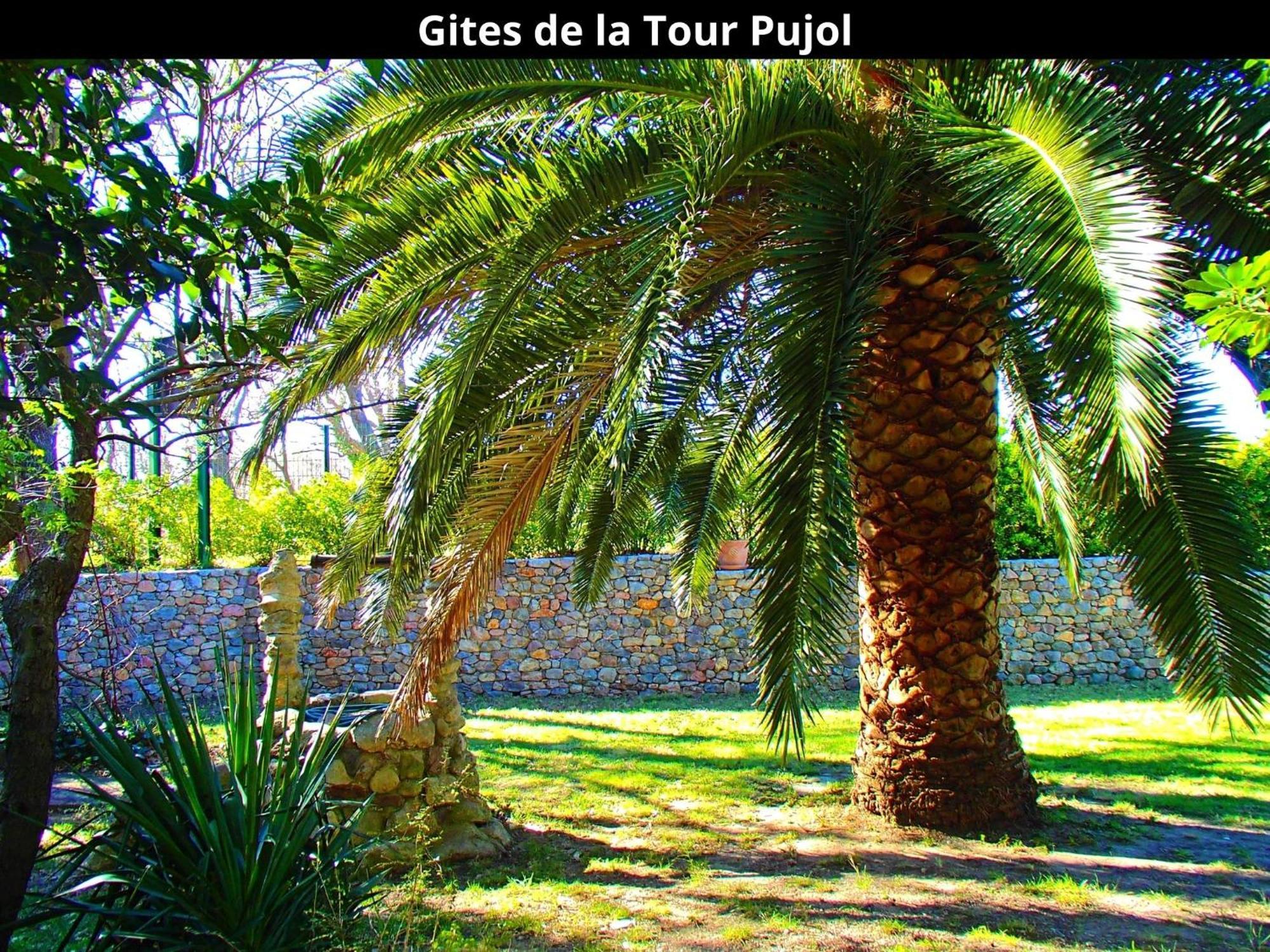 Les Gites De La Tour Pujol أرجيليه- سور- مير المظهر الخارجي الصورة