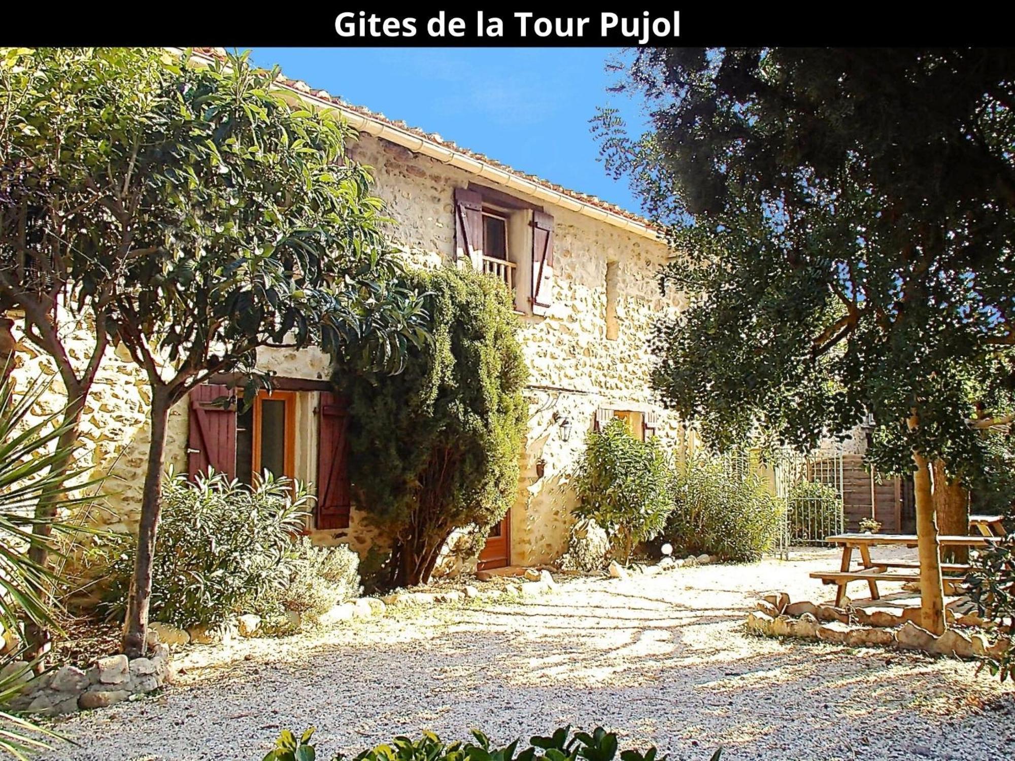 Les Gites De La Tour Pujol أرجيليه- سور- مير المظهر الخارجي الصورة