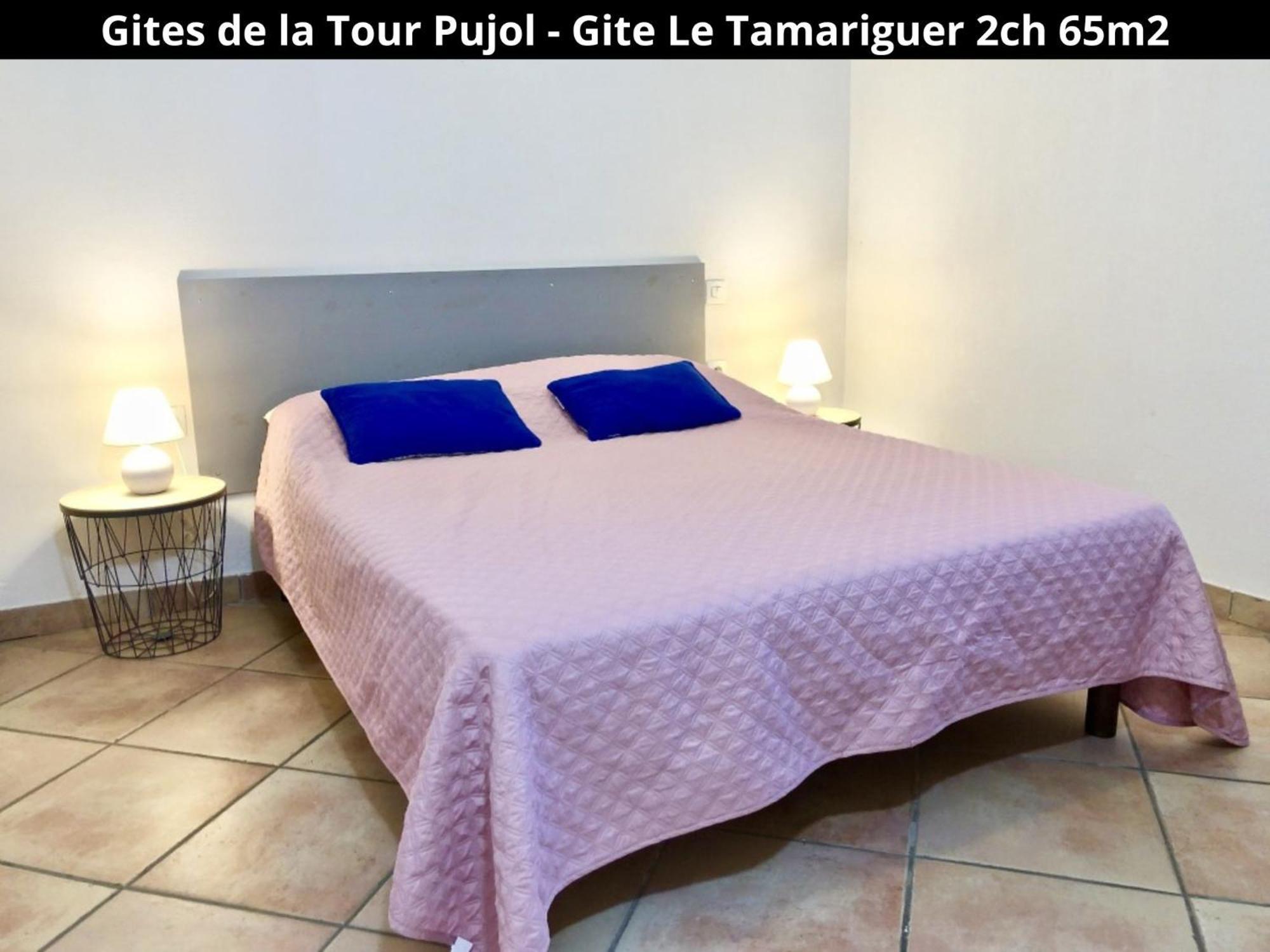 Les Gites De La Tour Pujol أرجيليه- سور- مير المظهر الخارجي الصورة