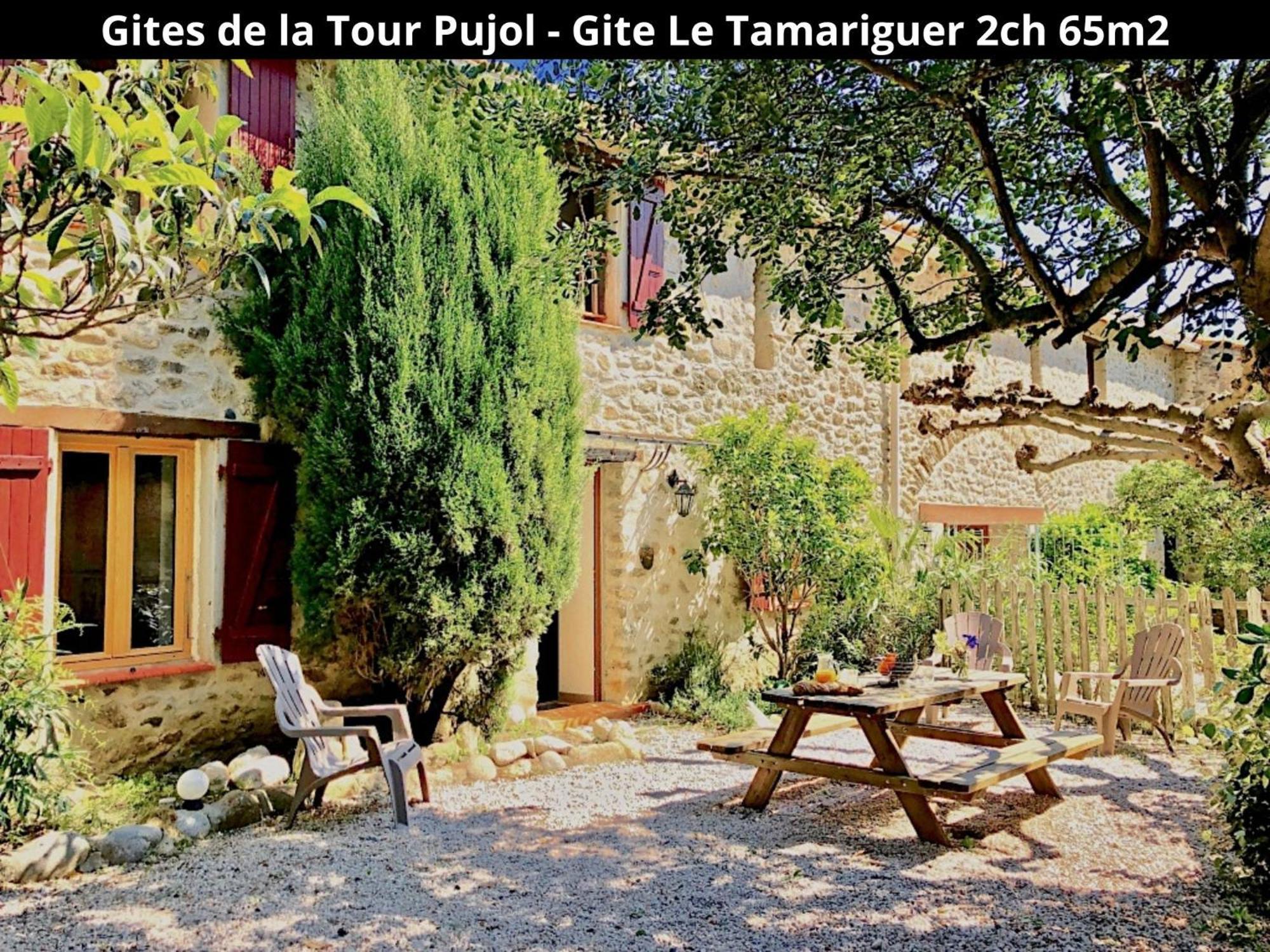 Les Gites De La Tour Pujol أرجيليه- سور- مير المظهر الخارجي الصورة